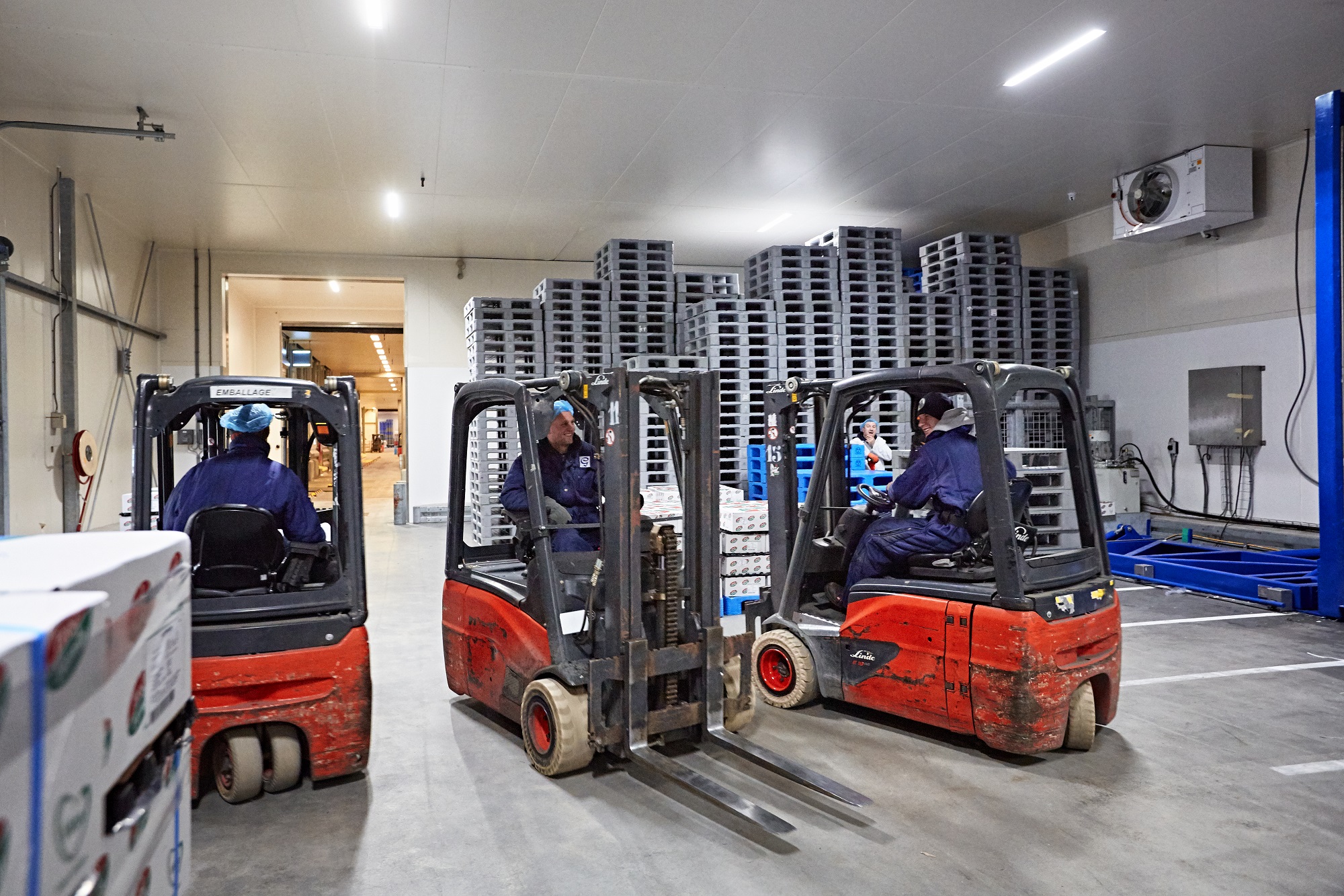 Optimalisatie warehouse bij Grolleman door Motrac